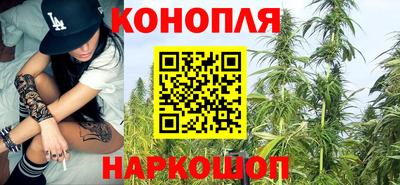 СК Донецк