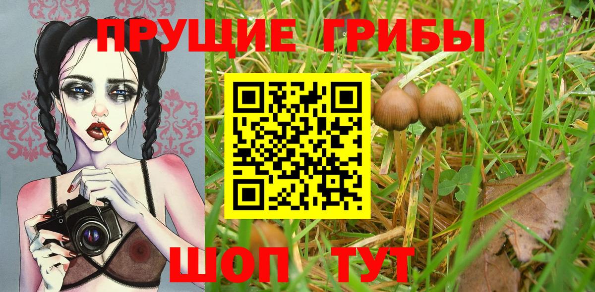 Псилоцибиновые грибы мицелий  Вход с VPN  Междуреченск 